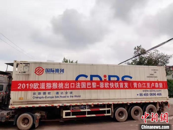 中欧班列(成都)助力成都青白江豪门国际猕猴桃打响欧洲市场