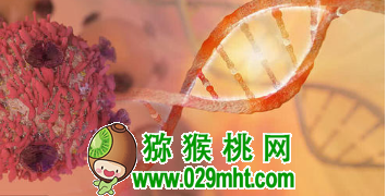 豪门国际官方网站图片