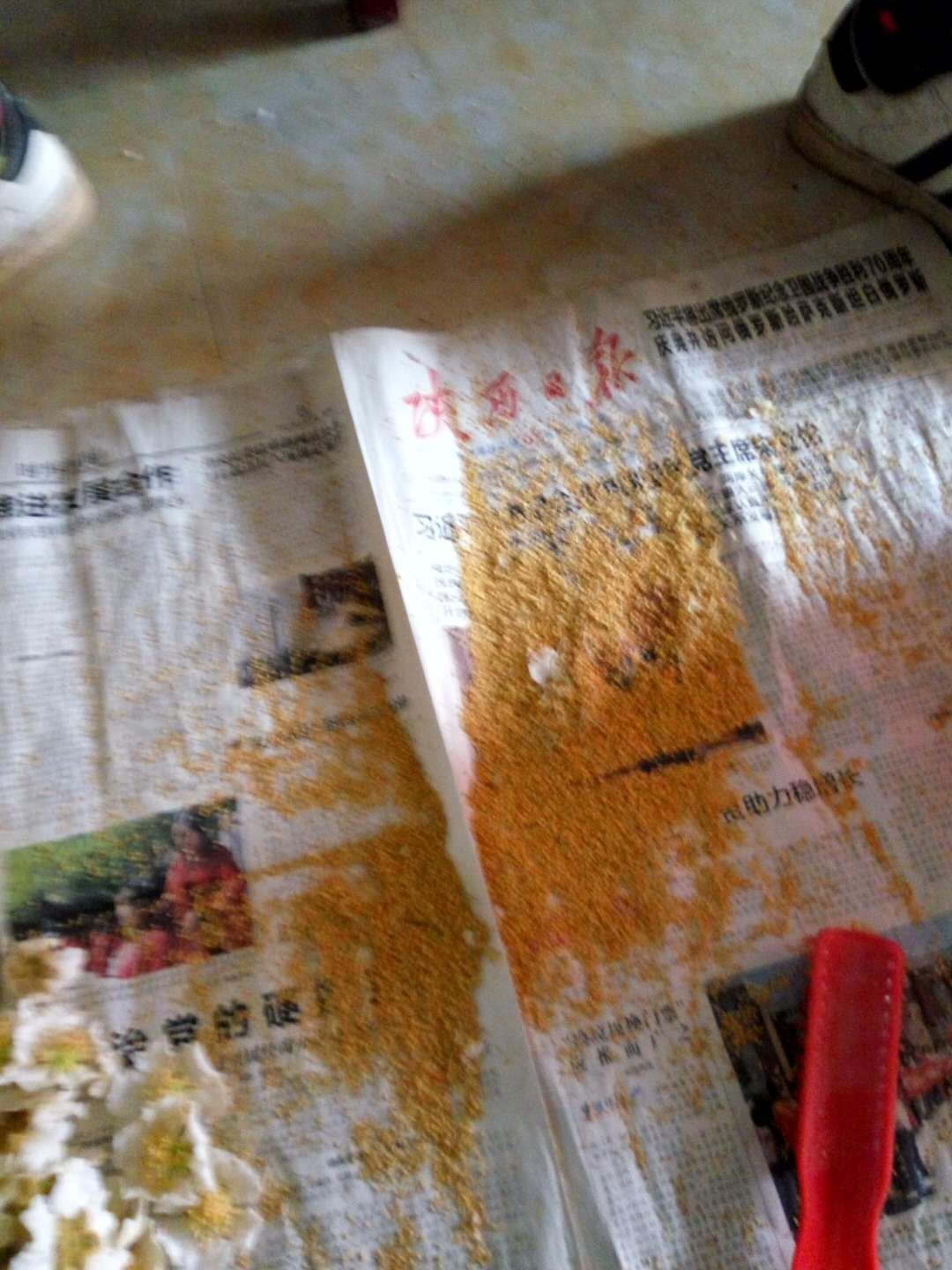 豪门国际 6fe55