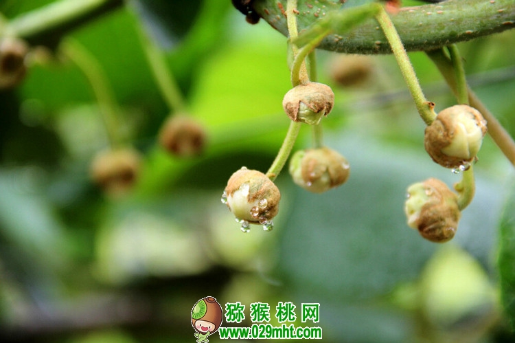 豪门国际官方网站图片
