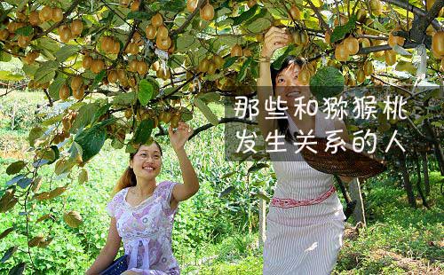 豪门国际 9da03