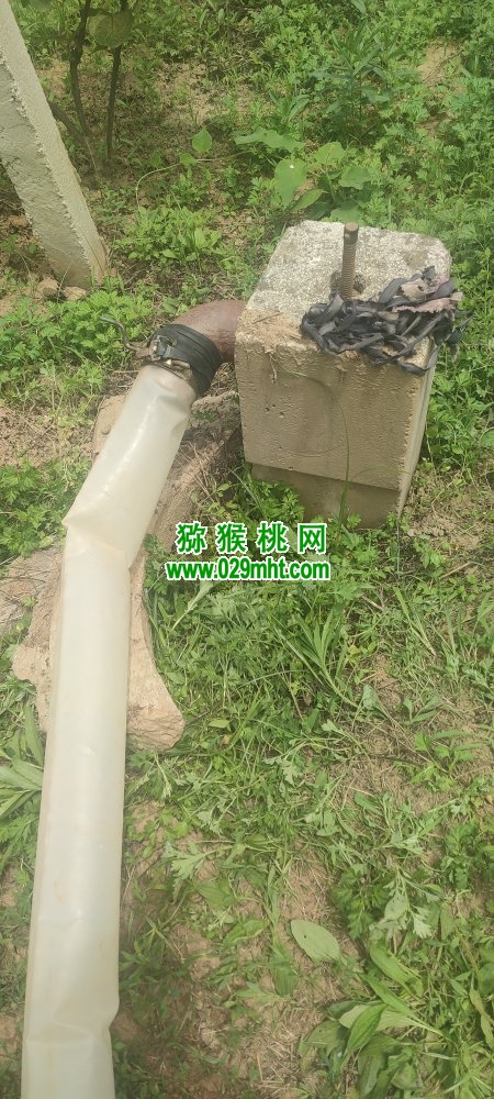 豪门国际 6f0a1