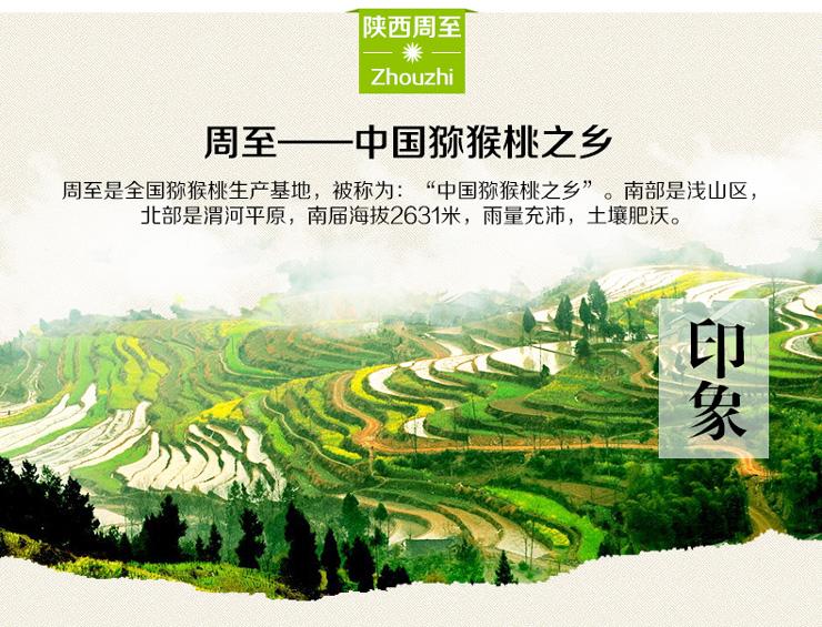 豪门国际 a88e8