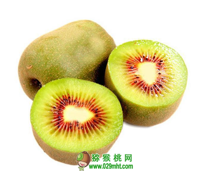 豪门国际官方网站图片