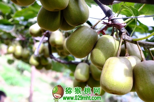 豪门国际官方网站图片