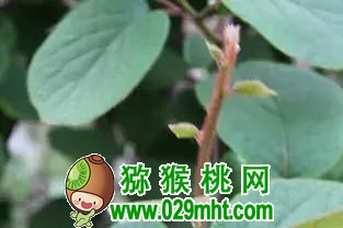 豪门国际官方网站图片