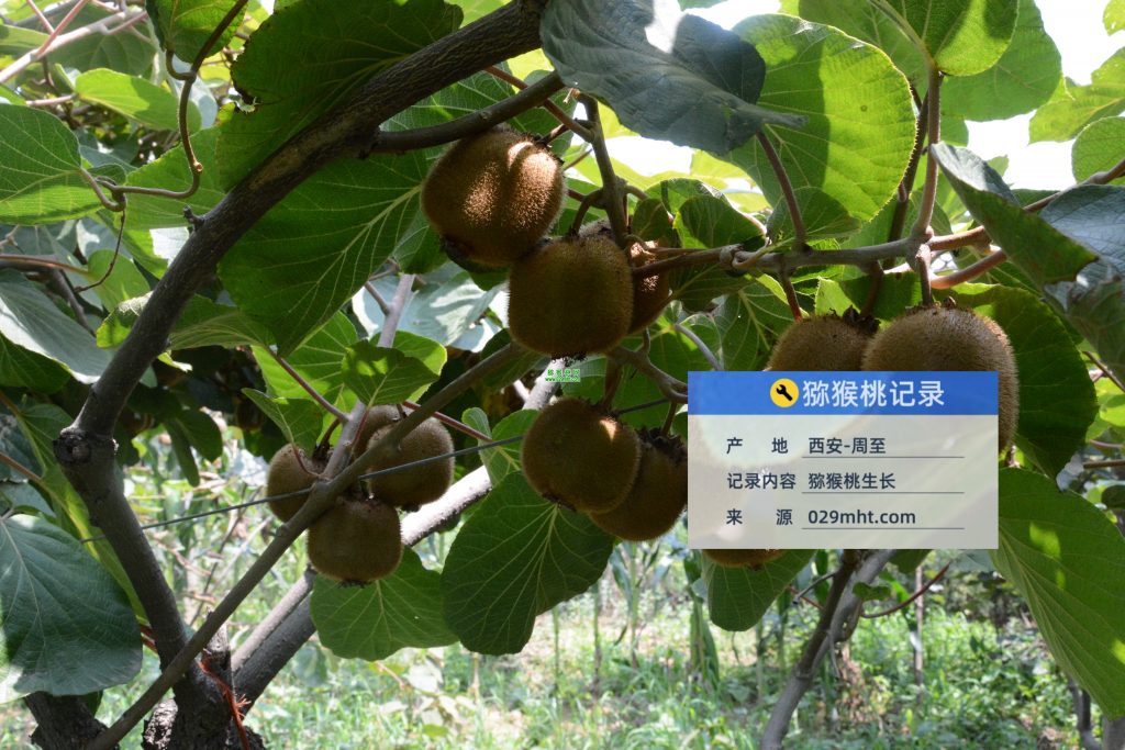 豪门国际官方网站图片