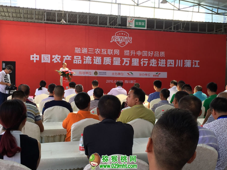 豪门国际官方网站图片