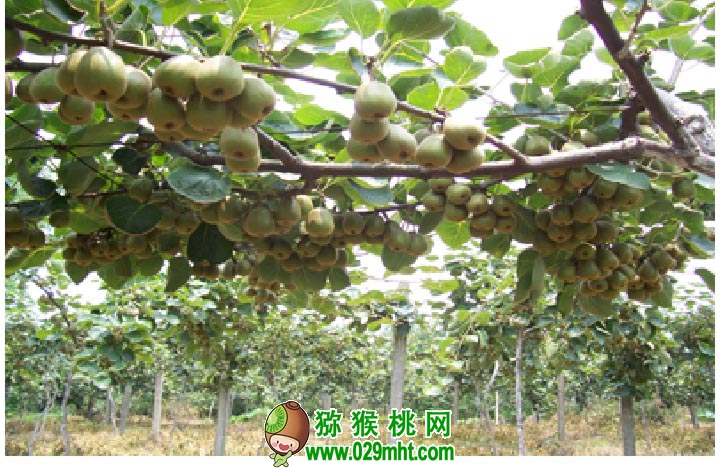 豪门国际官方网站图片