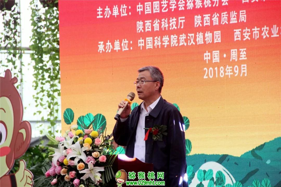 豪门国际 9c0c5