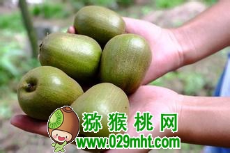 豪门国际官方网站图片