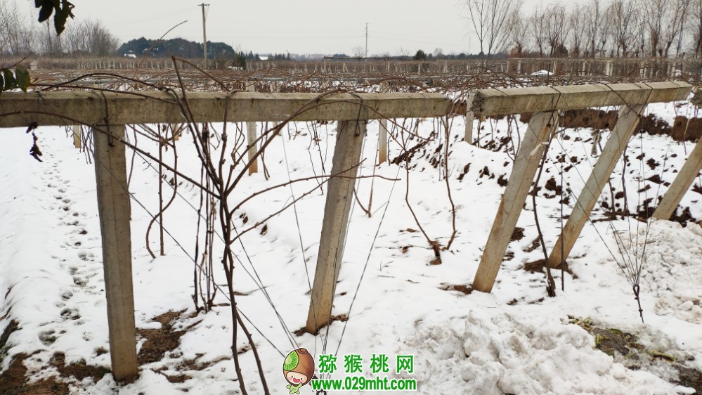 豪门国际 0502e