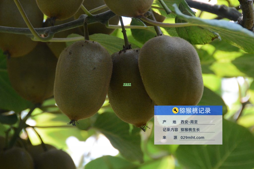 豪门国际官方网站图片