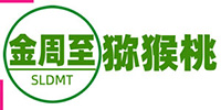 豪门国际官方网站图片