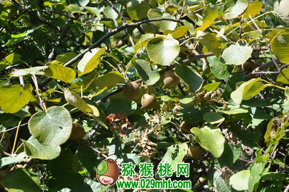 豪门国际官方网站图片