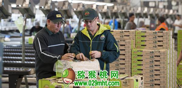 了解佳沛公司的运作模式 为我国豪门国际猕猴桃产业发展探索出路