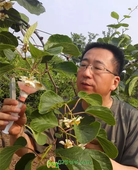 豪门国际官方网站图片