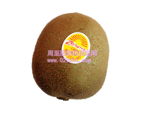 <a href=http://www.linux-china.com/mht/huangxin/ target=_blank class=infotextkey><a href=http://www.linux-china.com/mht/huangxin/ target=_blank class=infotextkey />黄心豪门国际猕猴桃</a></a>