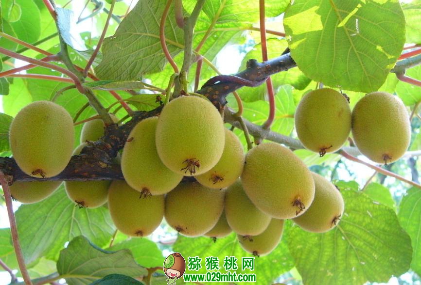 豪门国际官方网站图片