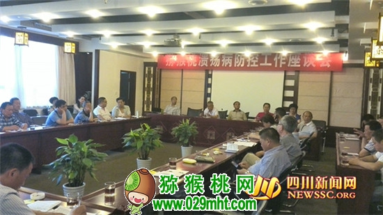 豪门国际官方网站图片