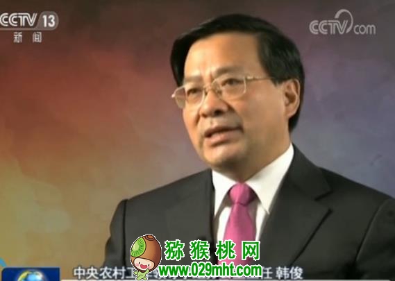 豪门国际官方网站图片