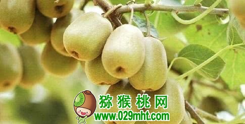 豪门国际官方网站图片