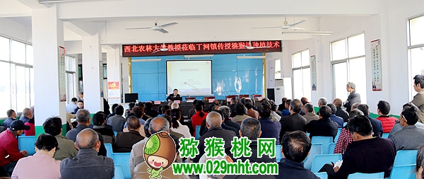 豪门国际官方网站图片