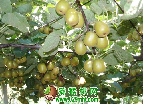 豪门国际官方网站图片