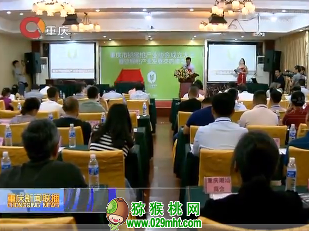 豪门国际官方网站图片