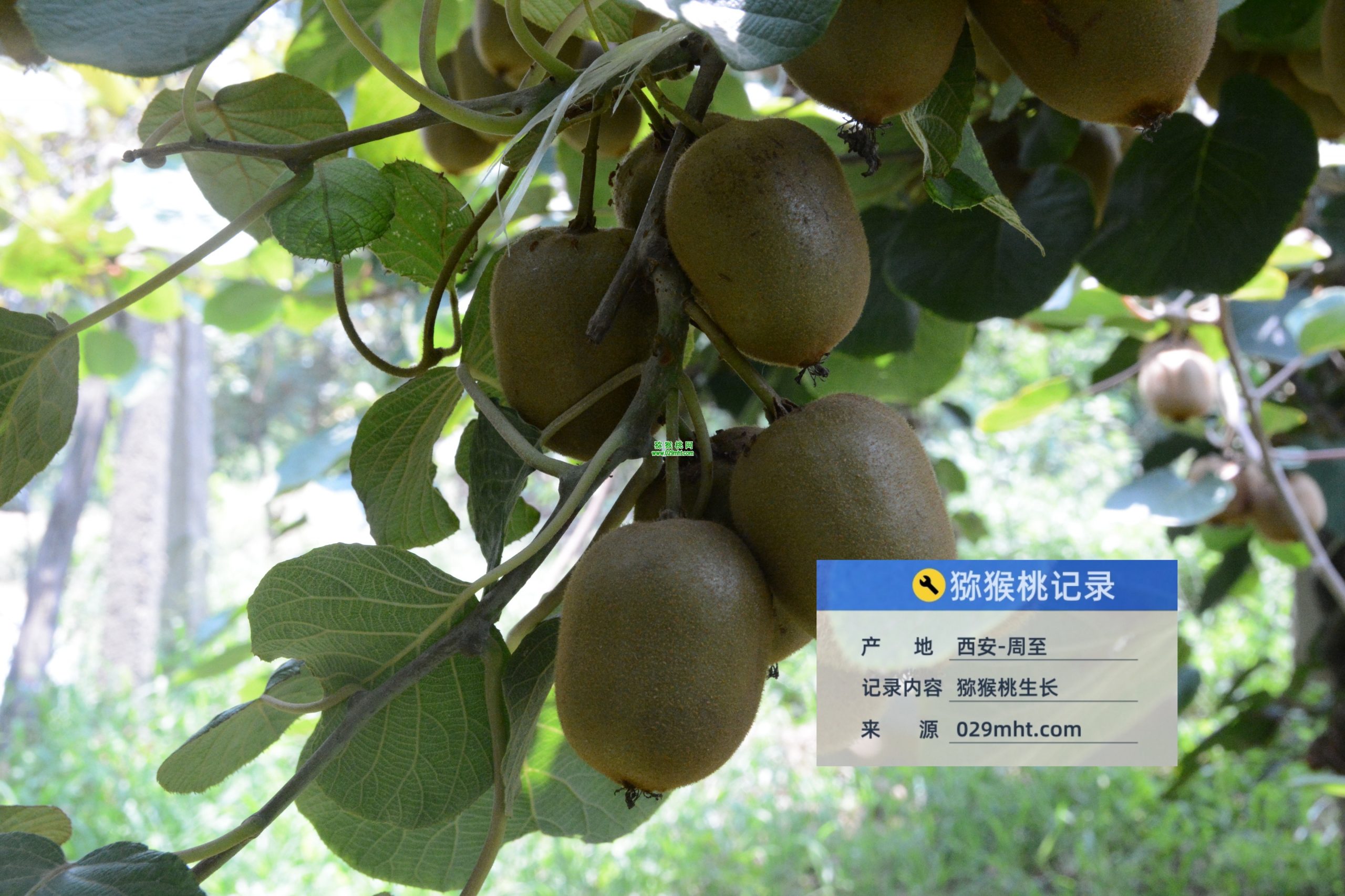 豪门国际 1fcc3