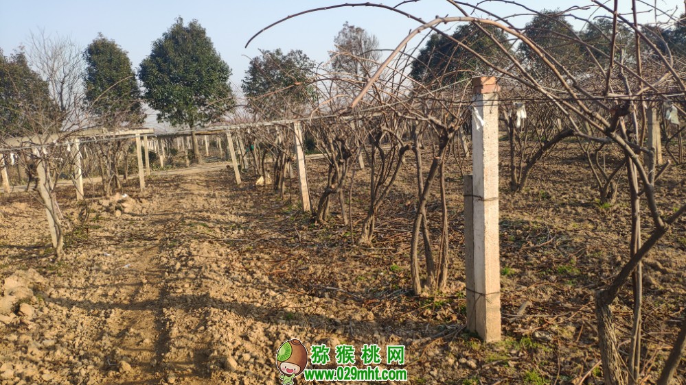 豪门国际 9d2f3