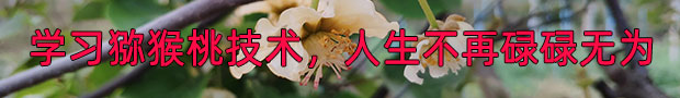 豪门国际 4fabf