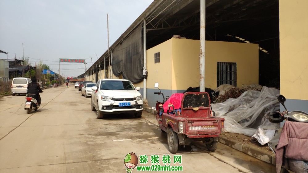 豪门国际 89be5