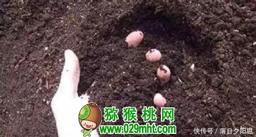 豪门国际官方网站图片