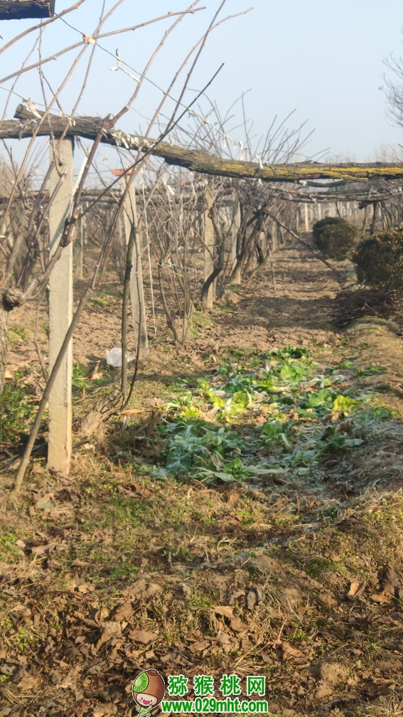 豪门国际官方网站图片