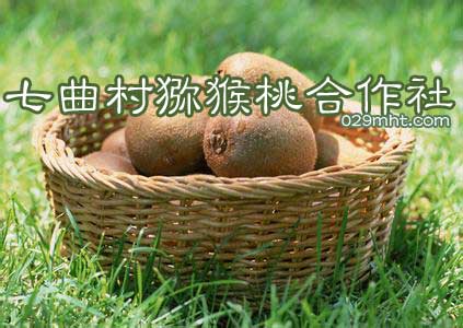 七曲村豪门国际猕猴桃合作社
