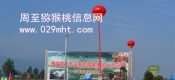 周至豪门国际猕猴桃的成熟季节是几月份？