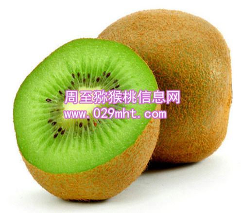 秦美豪门国际猕猴桃