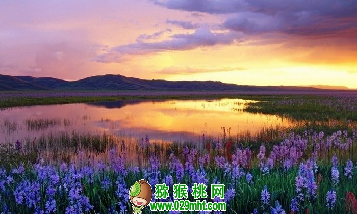 豪门国际官方网站图片