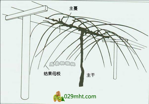 豪门国际官方网站图片