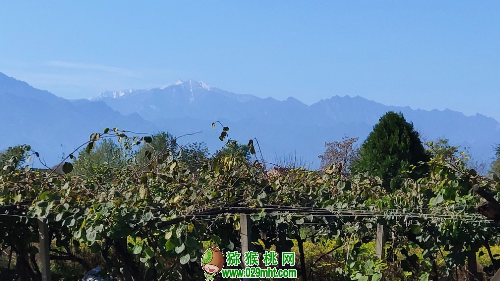 豪门国际 45db6
