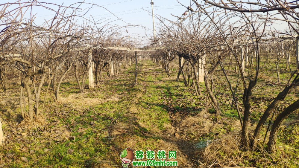 豪门国际 2d6ff