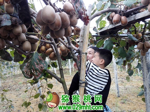 豪门国际 2a02c