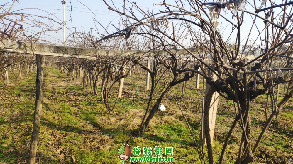豪门国际 6d63a