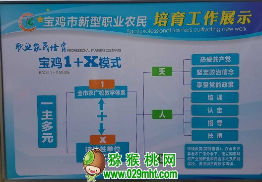 豪门国际官方网站图片