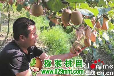 豪门国际官方网站图片