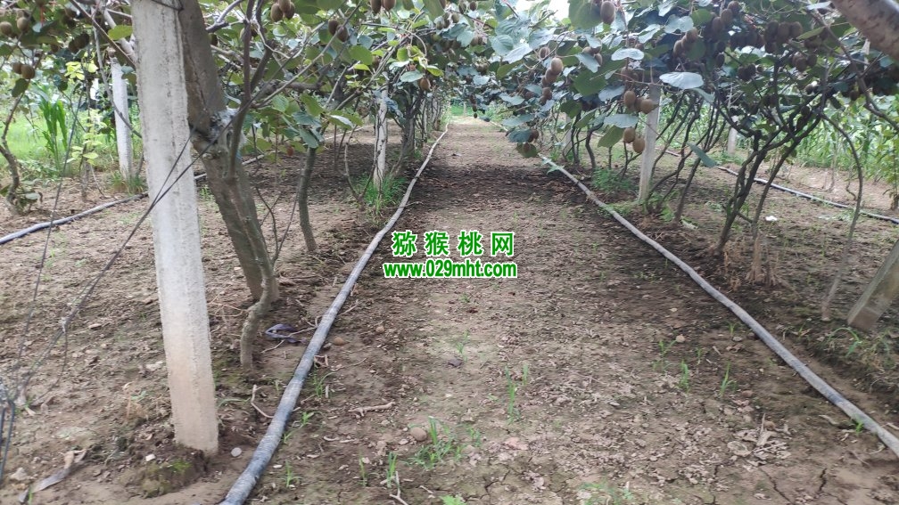 豪门国际 5e696