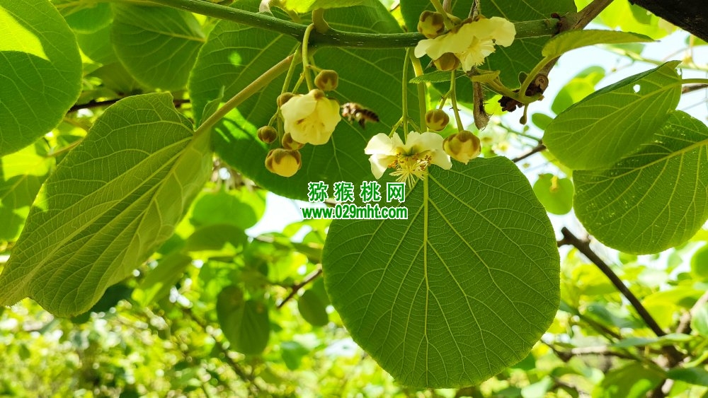 豪门国际 73715