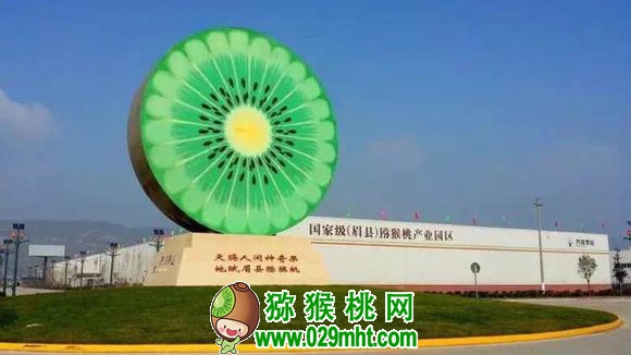豪门国际官方网站图片