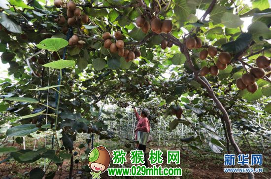 豪门国际官方网站图片